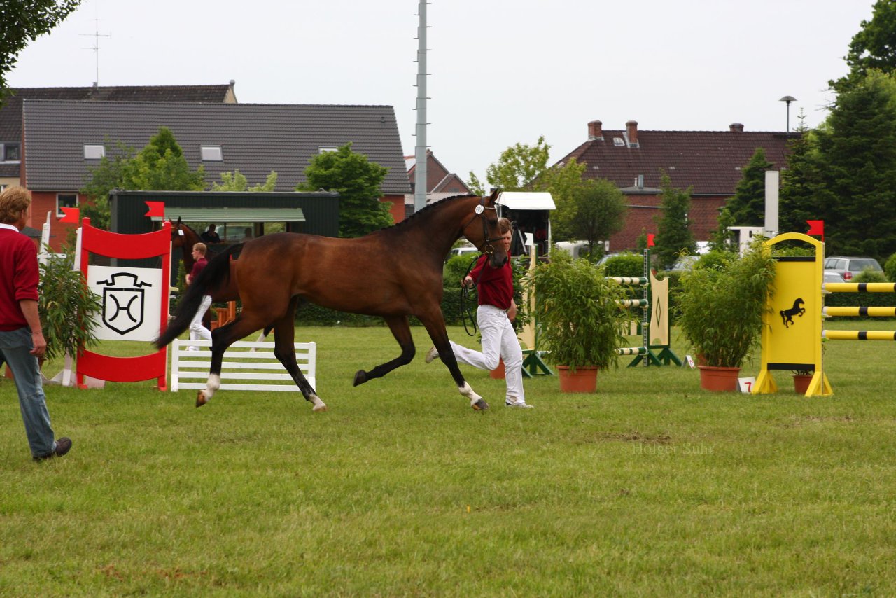 Bild 42 - Elmshorn am 9.6.10